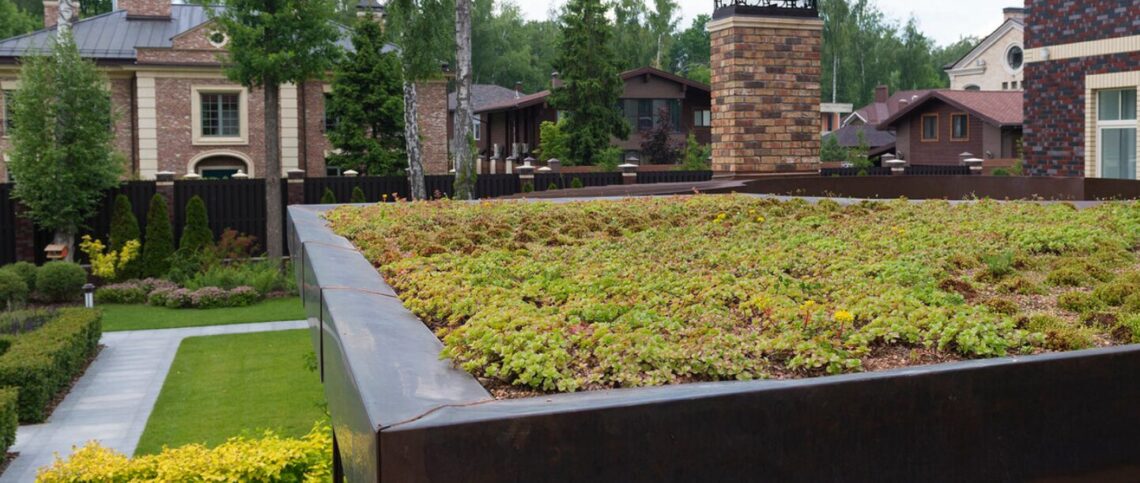 Озеленение крыш в Москве: создание экологичных пространств с 1993 года