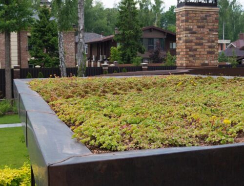 Озеленение крыш в Москве: создание экологичных пространств с 1993 года Озеленение крыш в Москве: создание экологичных пространств с 1993 года