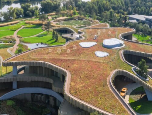 Создание садов мечты: 30 лет экспертизы от студии «Экопочва»