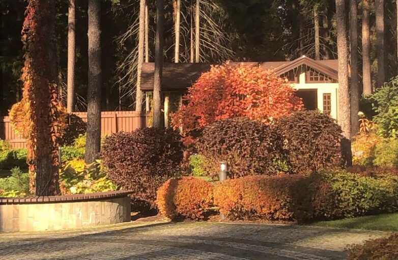 Создание Идеального Сада: Опыт и Искусство Ландшафтной Студии «Северное Поместье»