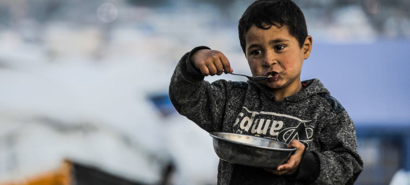 Gaza: Access to food improves but living conditions remain dire