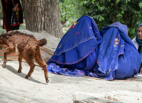 Коротко о мировых новостях: Историческая декларация о борьбе с болезнями и психическом здоровье, голод в Афганистане усиливается, кризис с беженцами в ДР Конго