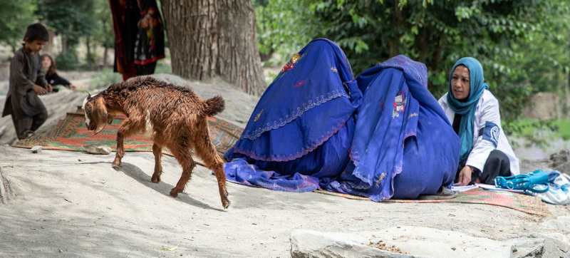 Коротко о мировых новостях: Историческая декларация о борьбе с болезнями и психическом здоровье, голод в Афганистане усиливается, кризис с беженцами в ДР Конго