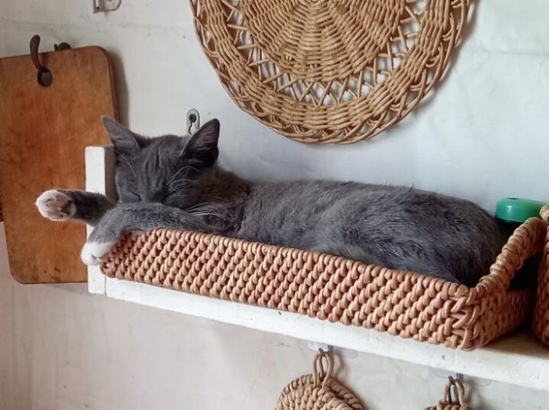 Плетеный поднос из бумажной лозы. | Интересный контент в группе Плетеные корзины Любовь Барабаш в ОК (Одноклассники)