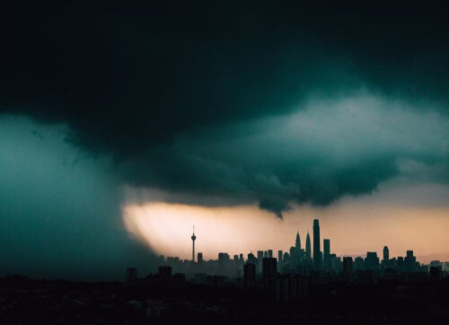 На каждый 1 доллар, потраченный на защиту природы, 30 долларов уходит на ее уничтожение