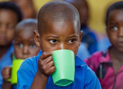 От обеденного набора к здоровью на протяжении всей жизни: ВОЗ устанавливает глобальные стандарты школьного питания