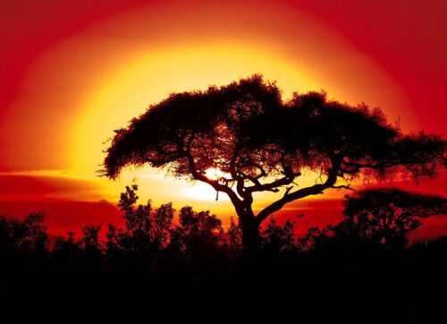 ВМО: 2025 год вошел в тройку самых теплых лет за вcю историю наблюдений