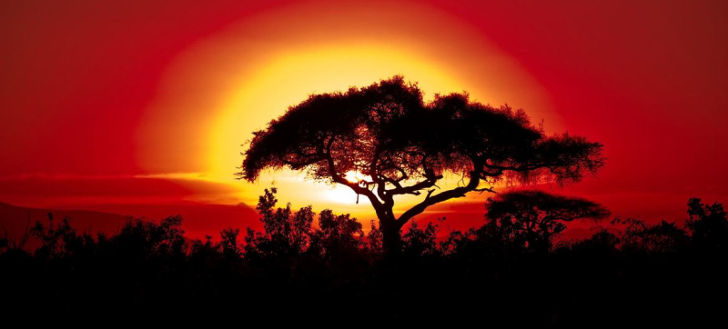 ВМО: 2025 год вошел в тройку самых теплых лет за вcю историю наблюдений