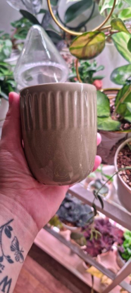 Доброе утро, а вчера я была еще в одной Фамилии. | Интересный контент в группе Домик Мандрагоры в ОК (Одноклассники)