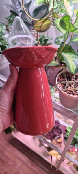 Доброе утро, а вчера я была еще в одной Фамилии. | Интересный контент в группе Домик Мандрагоры в ОК (Одноклассники)