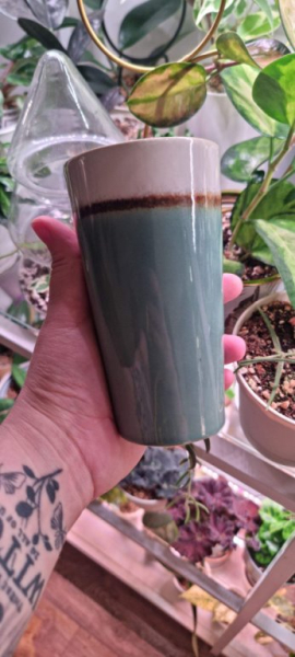 Доброе утро, а вчера я была еще в одной Фамилии. | Интересный контент в группе Домик Мандрагоры в ОК (Одноклассники)