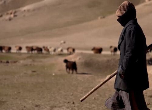 Миссия ООН сообщает о жертвах среди мирного населения Афганистана в результате пакистанских авиаударов