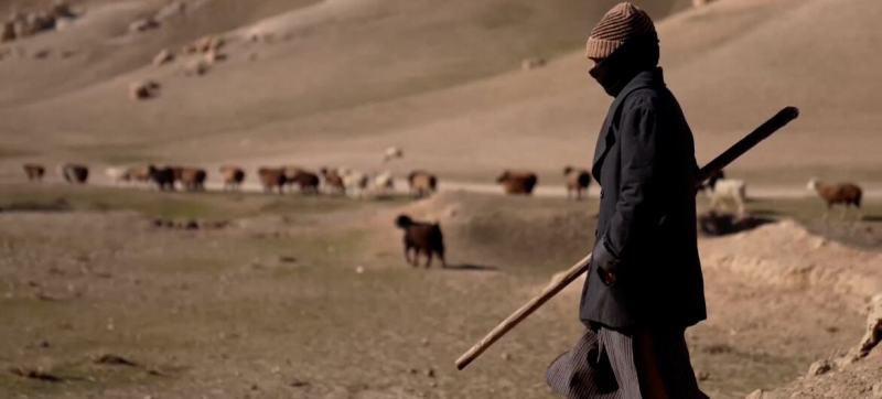 Миссия ООН сообщает о жертвах среди мирного населения Афганистана в результате пакистанских авиаударов