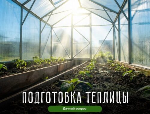 Подготовка теплицы к сезону — 5 шагов за 1 день | Интересный контент в группе Дачный вопрос | Дом, дача, огород в ОК (Одноклассники)