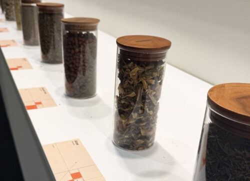 Всемирный день дикой природы: лекарственные растения – от древней мудрости до современных трендов