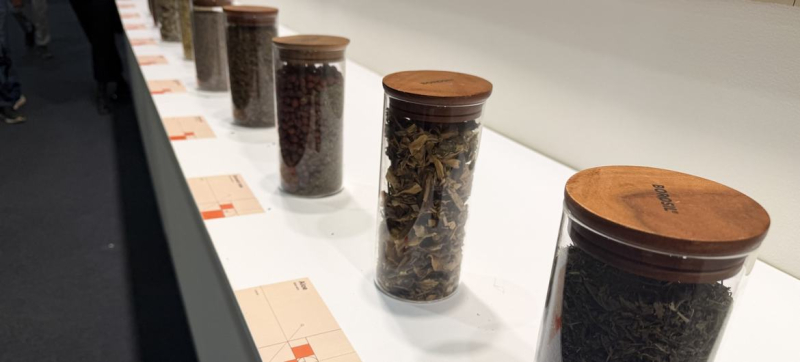 Всемирный день дикой природы: лекарственные растения – от древней мудрости до современных трендов