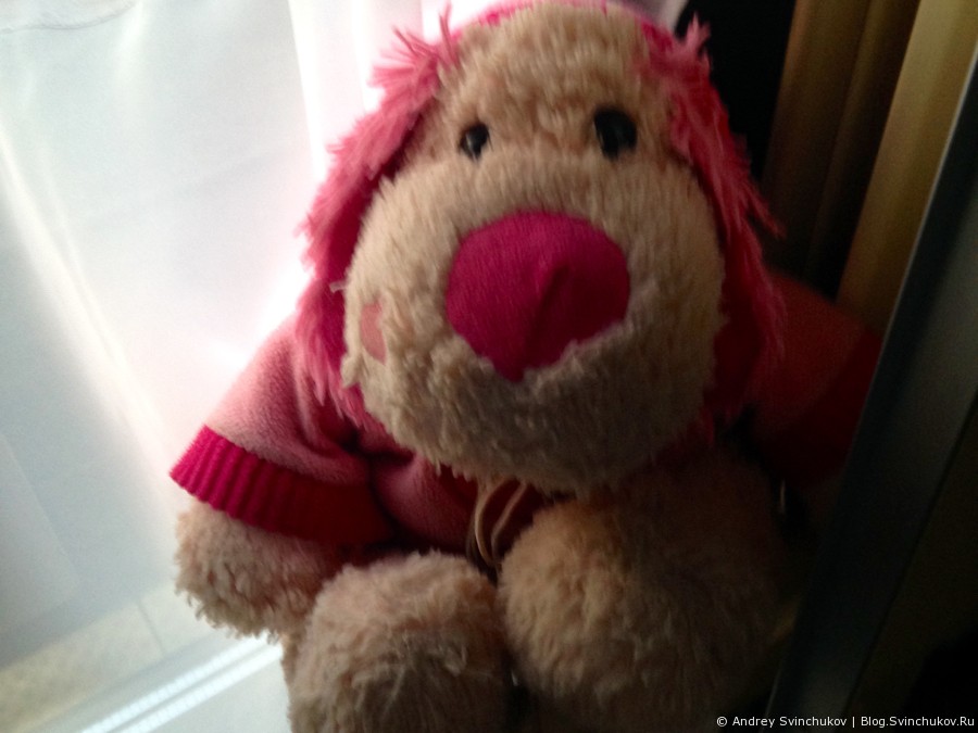 На поезде из Хабаровска в Комсомольск-на-Амуре и обратно