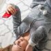 Как остановить приступ радикулита в домашних условиях быстро и без лекарств
